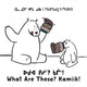 Book cover of: Nanuq and Nuka: What Are These? Kamiik!. By: Ali Hinch