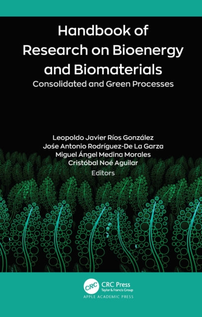 Book cover of: Handbook of Research on Bioenergy and Biomaterials. By: Leopoldo Javier Ríos González