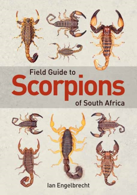 Book cover of: Field Guide to Scorpions of South Africa. By: Ian Engelbrecht