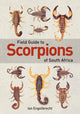 Book cover of: Field Guide to Scorpions of South Africa. By: Ian Engelbrecht