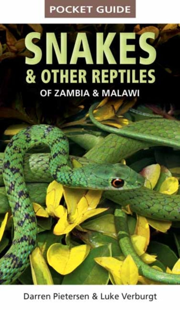 Book cover of: Pocket Guide to Snakes & Other Reptiles of Zambia and Malawi. By: Darren Pietersen