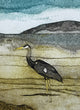 Wild Birds Pocket Notebook: Heron 9781780278438 Sarah Ross-Thompson