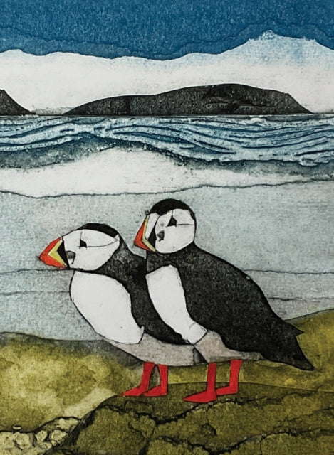 Book cover of: Wild Birds Pocket Notebook: Puffin. By: Sarah Ross-Thompson