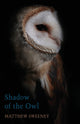 Book cover of: Shadow of the Owl. By: Matthew Sweeney