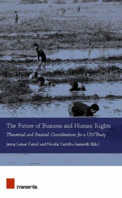 Book cover of: Future of Business and Human Rights. By: Jernej Letnar Cernic