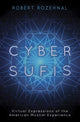 Book cover of: Cyber Sufis. By: Robert Rozehnal