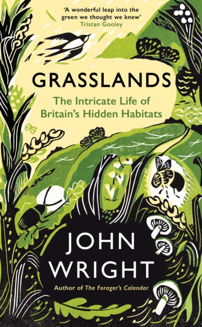 Grasslands