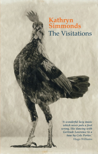 Book cover of: Visitations. By: Kathryn Simmonds
