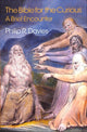 Book cover of: Bible for the Curious. By: Philip R. Davies