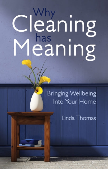 Book cover of: Why Cleaning Has Meaning