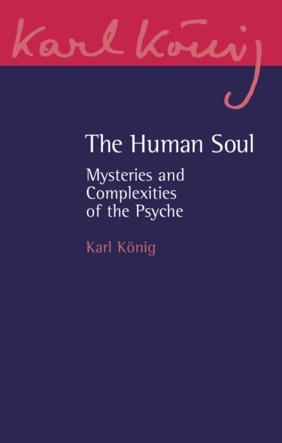 Book cover of: Human Soul