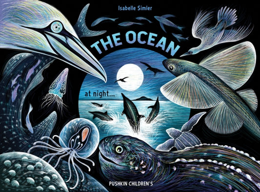 Ocean at Night 9781782694885 Isabelle Simler