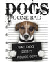 Book cover of: Dogs Gone Bad. By: Jack Russell