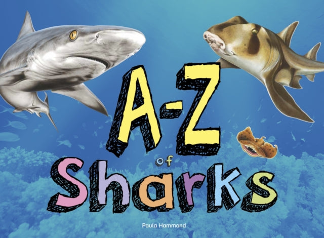 Book cover of: A–Z of Sharks. By: Paula Hammond