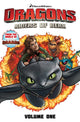 Book cover of: Dragons Riders of Berk: Tales from Berk. By: Simon Furman