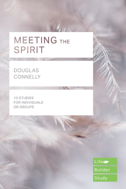 Book cover of: Meeting the Spirit (Lifebuilder Study Guides)