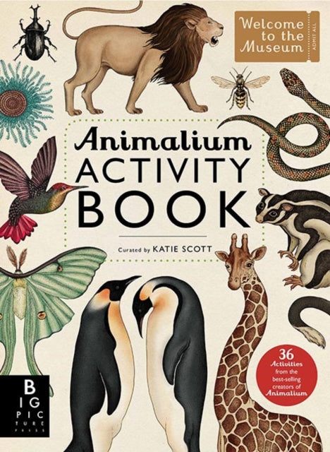 Animalium Activity Book 9781783703432 Katie Scott