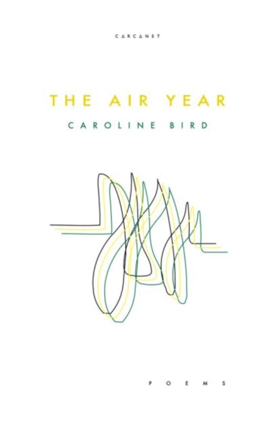 Book cover of: Air Year. By: Caroline Bird