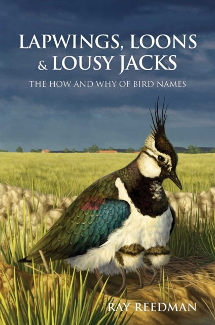 Book cover of: Lapwings, Loons and Lousy Jacks. By: Ray Reedman