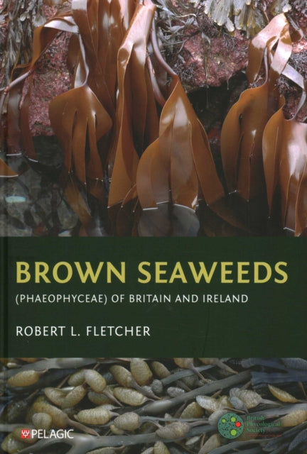 Book cover of: Brown Seaweeds (Phaeophyceae) of Britain and Ireland. By: Robert L. Fletcher