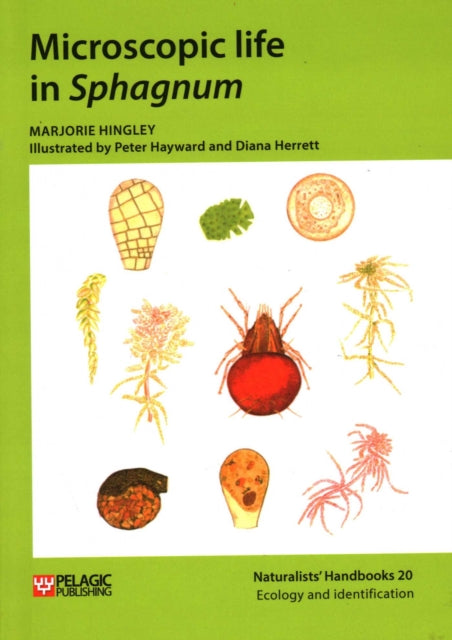 Book cover of: Microscopic life in Sphagnum. By: Marjorie Hingley