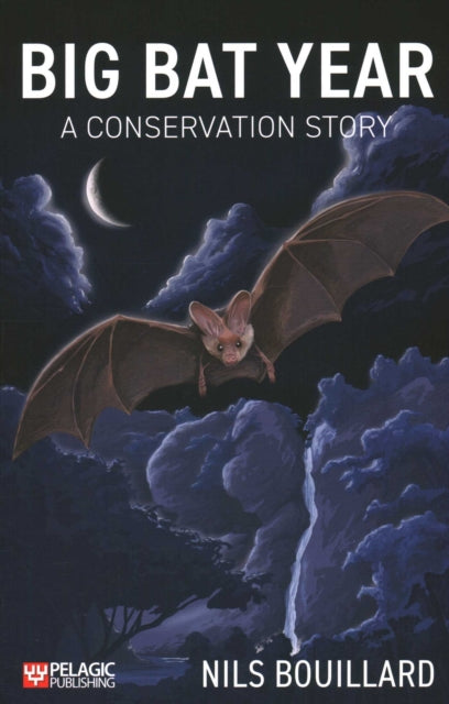 Book cover of: Big Bat Year. By: Nils Bouillard