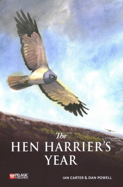 Book cover of: Hen Harrier's Year. By: Ian Carter