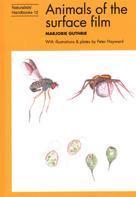 Book cover of: Animals of the surface film. By: Marjorie Guthrie