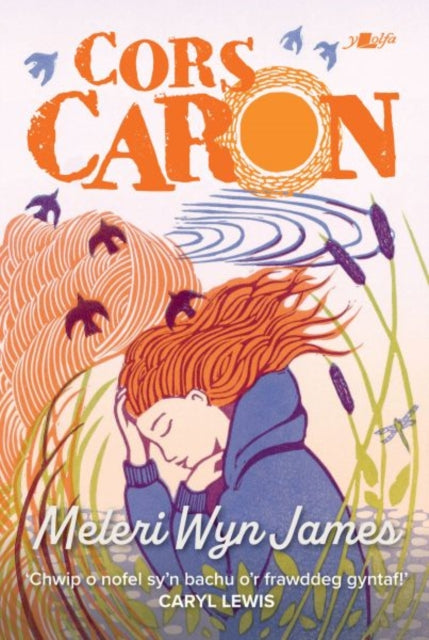 Book cover of: Cors Caron. By: Meleri Wyn James