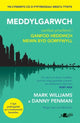 Book cover of: Darllen yn Well: Meddylgarwch - Canllaw Ymarferol i Ganfod Heddwch Mewn Byd Gorffwyll. By: Mark Williams
