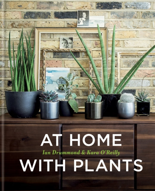Book cover of: At Home with Plants. By: Ian Drummond