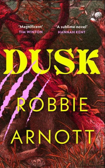Dusk 9781784745981 Robbie Arnott