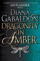 Dragonfly In Amber