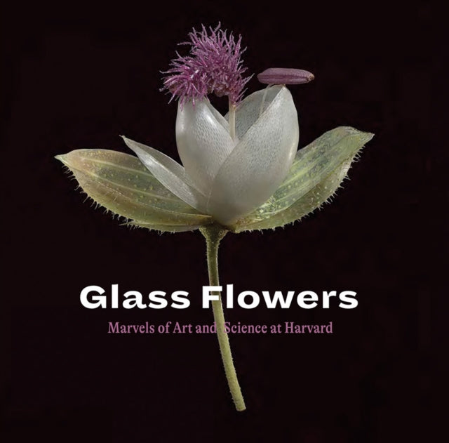 Book cover of: Glass Flowers. By: Mark A. Roglan