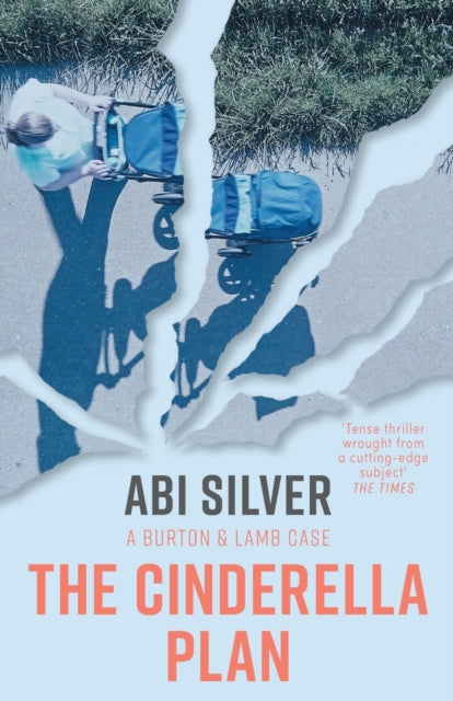 Cinderella Plan 9781785632730 Abi Silver