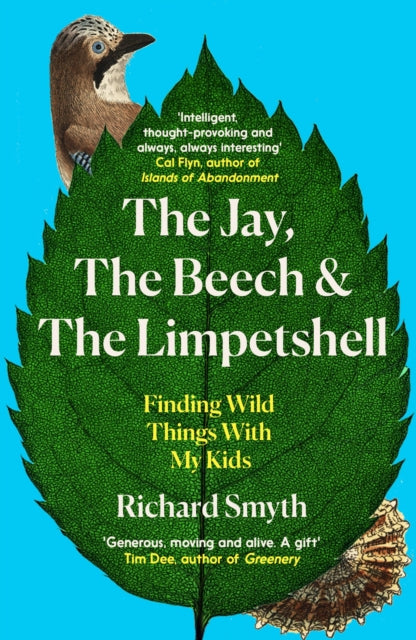 Book cover of: Jay, The Beech and the Limpetshell