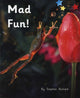 Book cover of: Lot of Fun!
