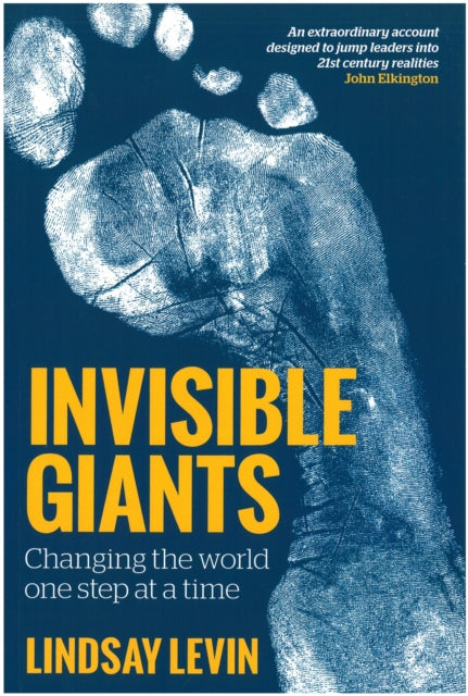 Book cover of: Invisible Giants. By: Lindsay Levin