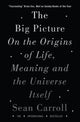 Big Picture, On the Origins of Life, Meaning, and the Universe Itself 9781786071033 Sean M. Carroll