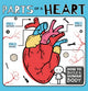 Book cover of: Parts of a Heart. By: Kirsty Holmes