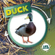 Book cover of: Duck. By: Kirsty Holmes