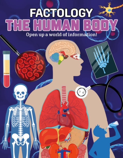 Book cover of: Factology: The Human Body. By: Button Book