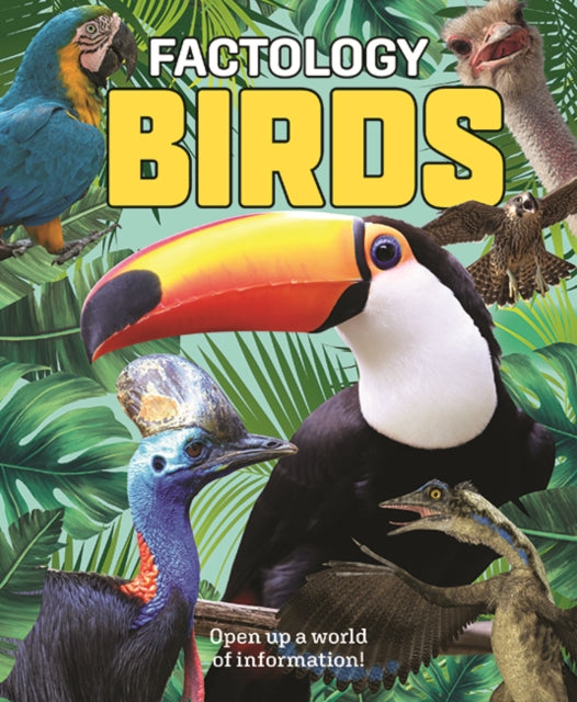 Book cover of: Factology: Birds