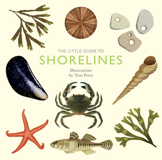 Book cover of: Little Guide to Shorelines. By: Alison Davies