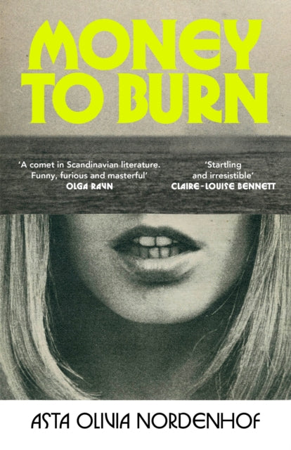 Money to Burn 9781787335165 Asta Olivia Nordenhof