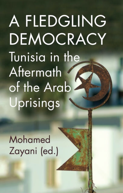 Book cover of: Fledgling Democracy. By: Mohamed Zayani
