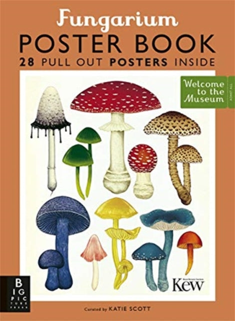Book cover of: Fungarium Poster Book. By: Ester Gaya