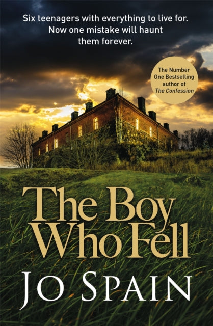Book cover of: Boy Who Fell. By: Jo Spain