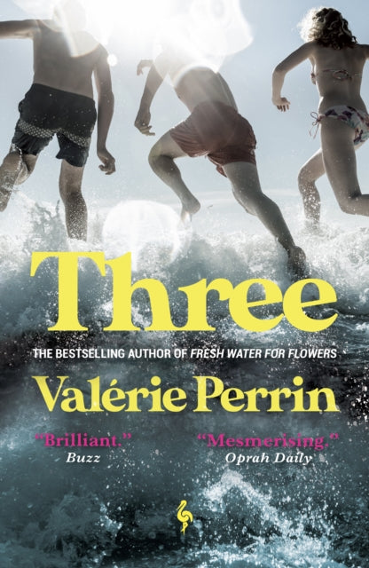 Three, From the bestselling author of Fresh Water for Flowers 9781787704633 Valerie Perrin