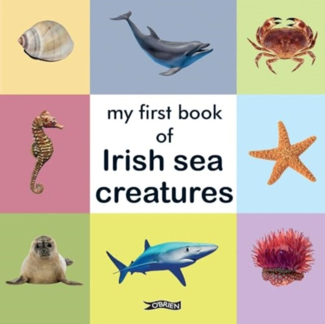 Book cover of: My First Book of Irish Sea Creatures